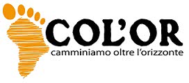 COL'OR NGO Onlus logo